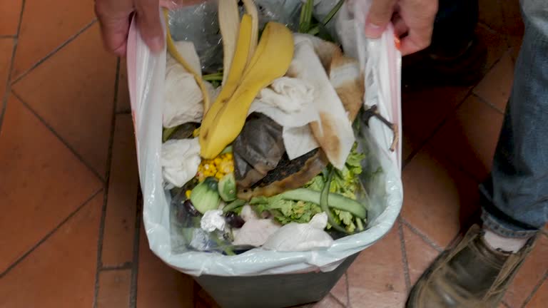  Black Canyon City, AZ Junk Removal Services Pros